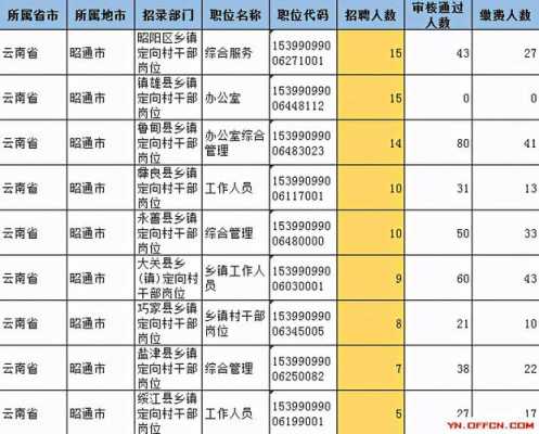 昭通驾驶员最新招聘，职业前景、需求分析与应聘指南全解析