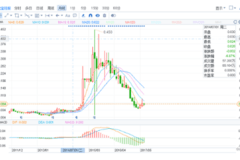 金宝宝控股最新消息全面解析与动态速递