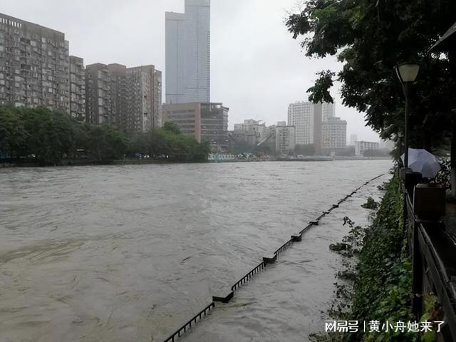 成都爆雨最新消息,成都爆雨最新消息，暴雨来袭，城市全力应对