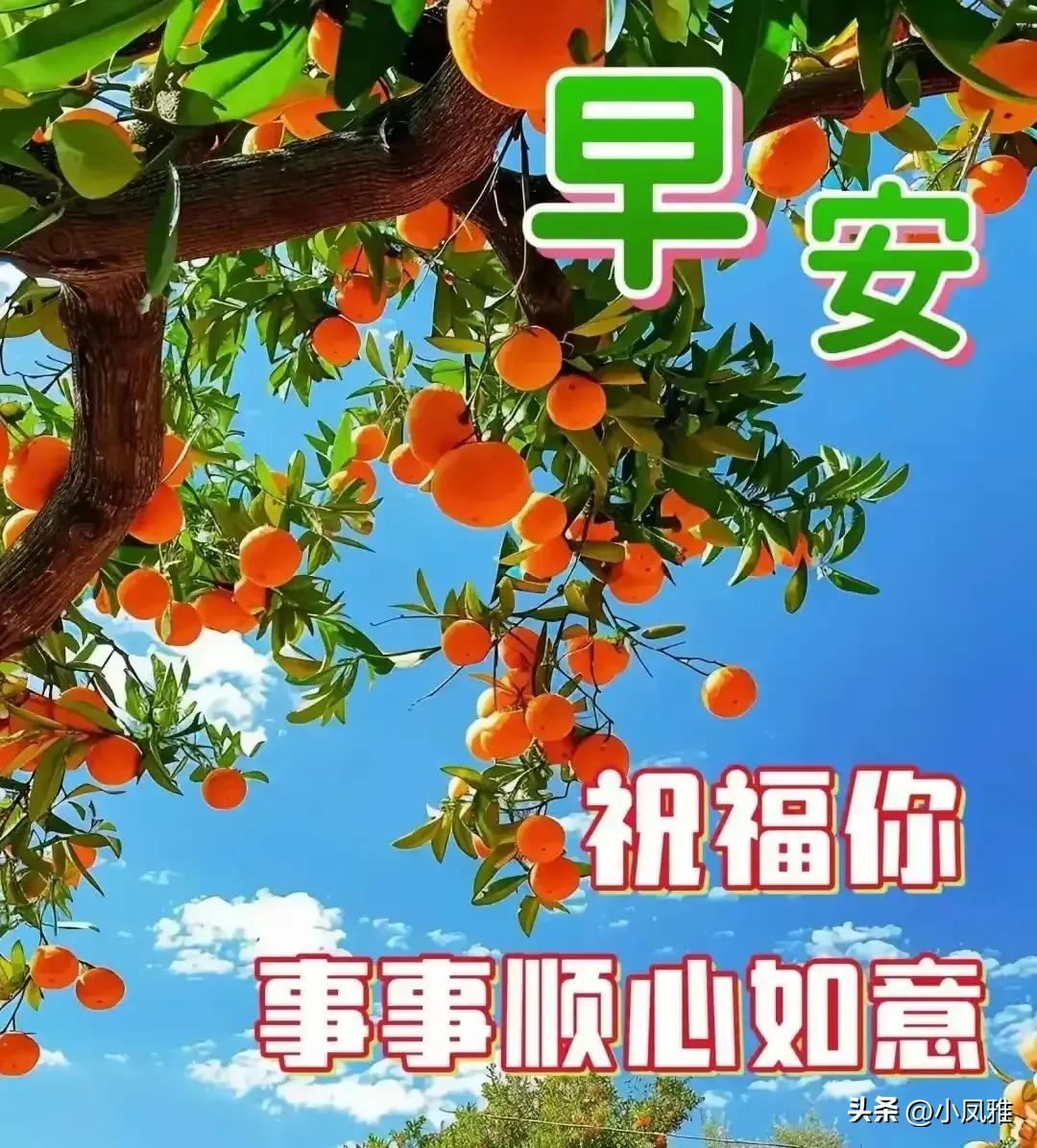 2024天天彩全年免费资料,科学依据解析说明_微型版88.867