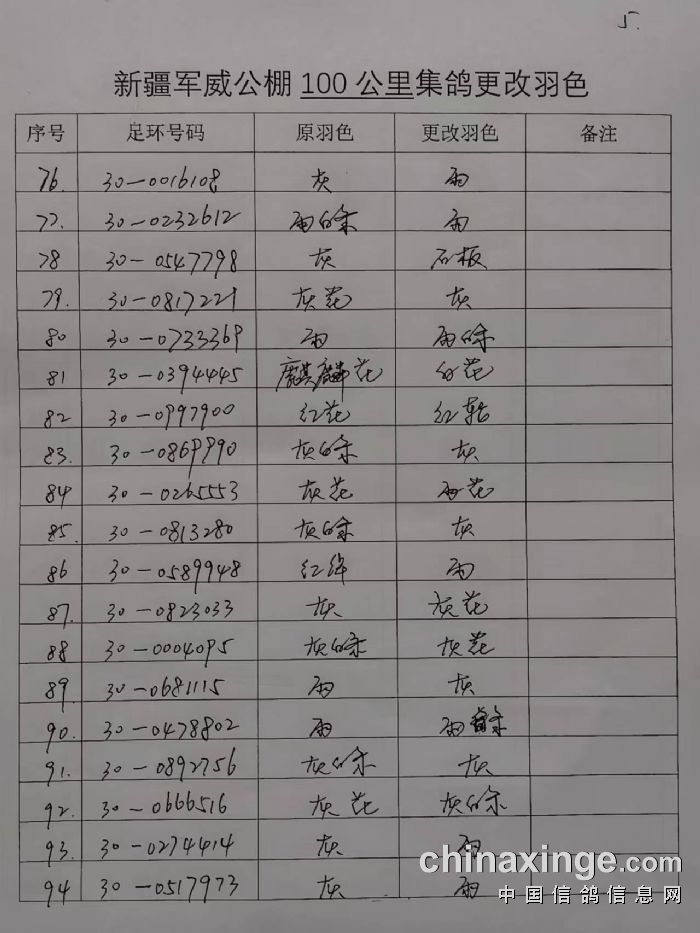 新疆赛鸽公棚最新公告，引领未来赛鸽运动新篇章启幕