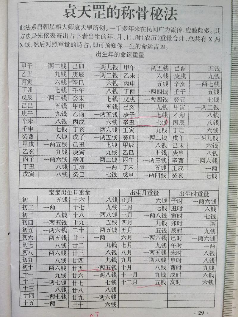 最新称命书对照表及其应用概览