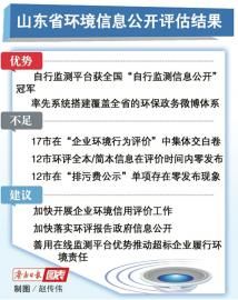 今日全球环保进展与挑战，最新消息与深度分析