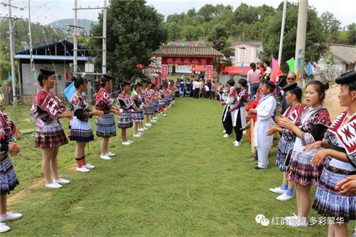 繁荣与机遇并存，最新斗鸡自由交易市场的兴起