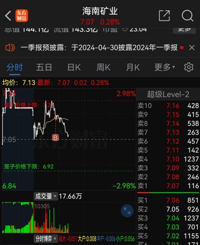 海南矿业股票最新深度解析，最新消息一览